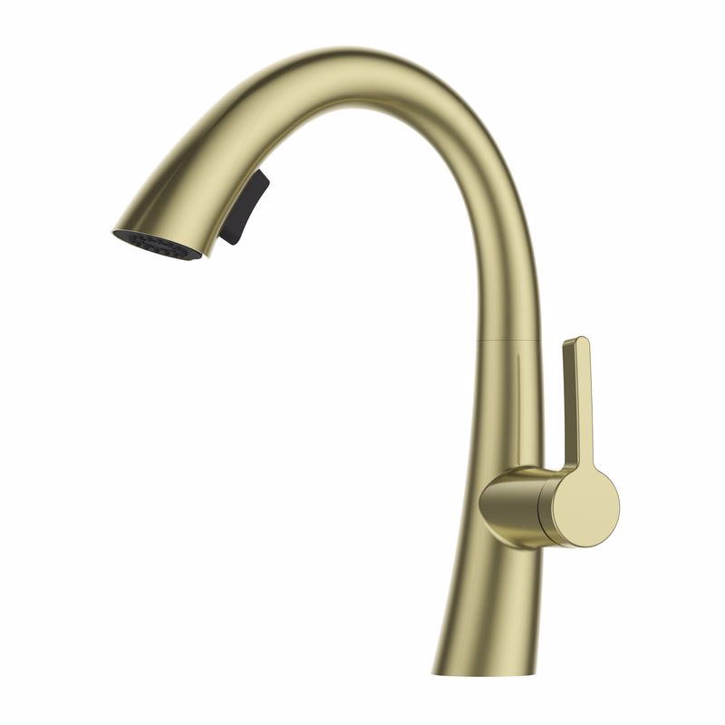 ��� ���� ���� ���� ������ ��� ��