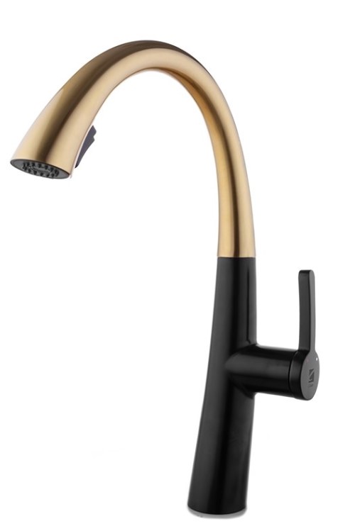 ��� ���� ���� ������ ������ ���� �� ���� ���