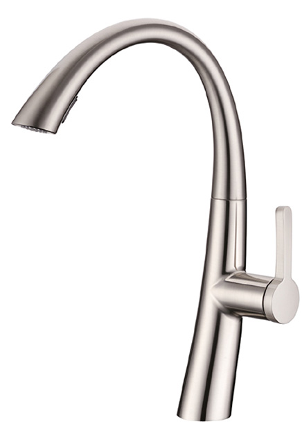 ��� ���� ���� ������ ������ �����