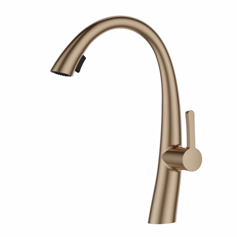 ��� ���� ���� ������ ������ �����