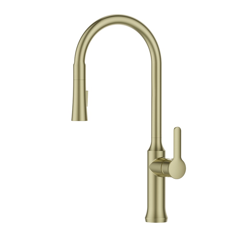 ��� ��� ���� ���� ����, ������ �����