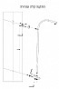 מוט פינוק למקלחת פומה BRASS