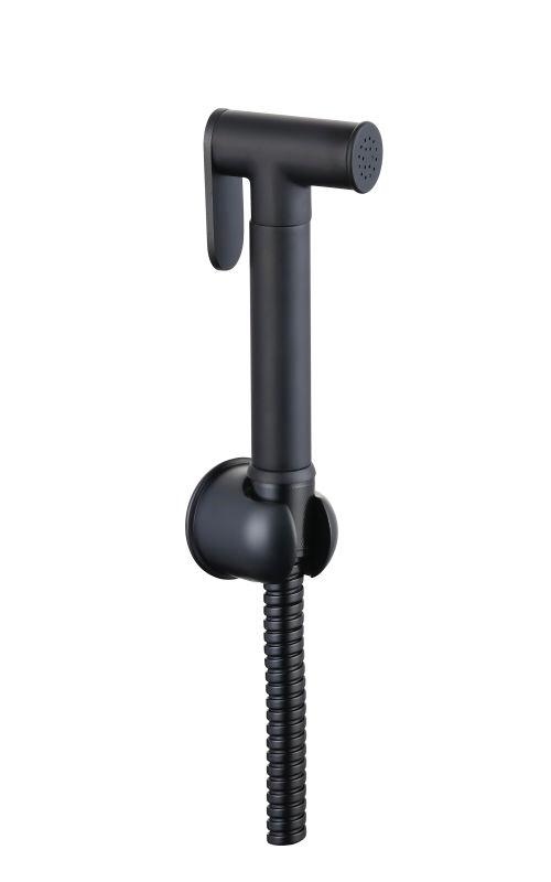 ���� ���� �������� BRASS