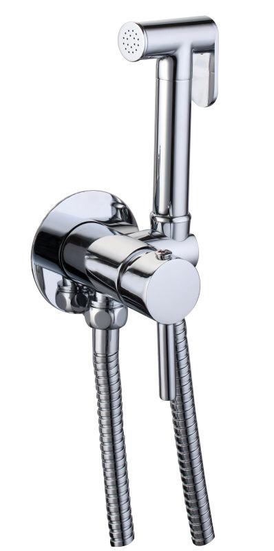 ���� ���� �������� BRASS