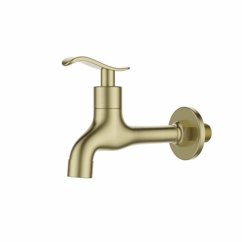 ��� ��� ���� ����� ���