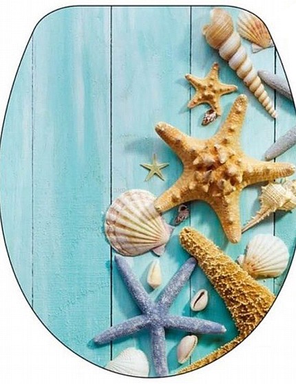 ���� ����� ���� ���� ������ ����� ����