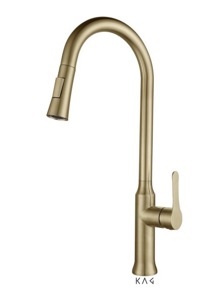 ��� ���� ����� �����  2 ����� Rocky