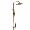 ��� ����� ������ ���� ������� ����� BRASS