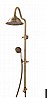 ��� ����� ������ ������� ������ ����� BRASS
