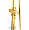 ��� ����� ������ ���� �� ���� �������� BRASS