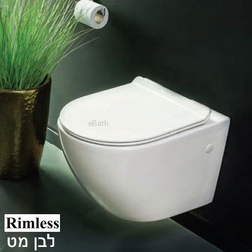 ���� ����� ��� �� �����