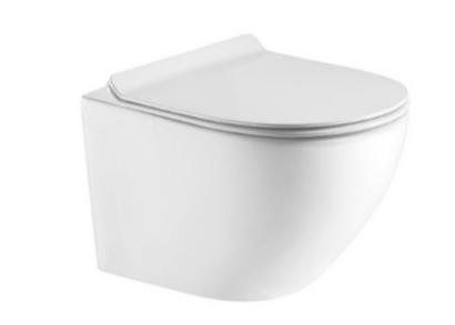 ���� �����  ���� ������