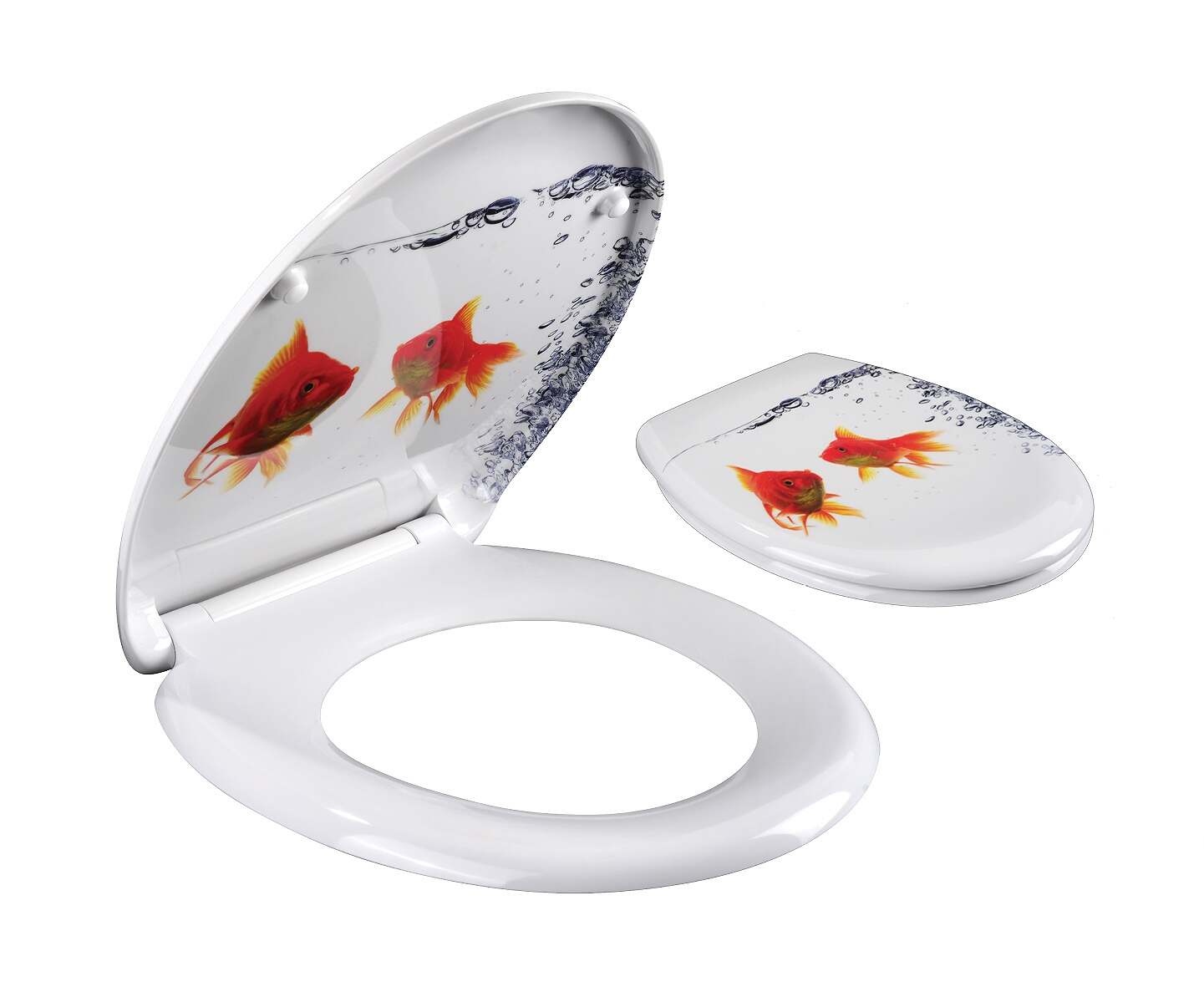 ���� ����� ���� ������ �� ����� ����