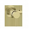 �������� ������ ������ ��� ���� ����� BRASS