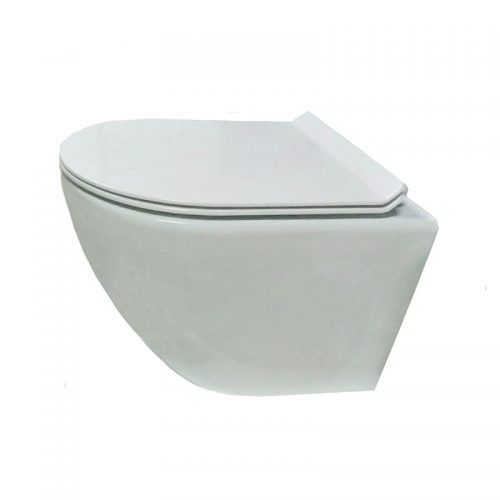 ���� �����  ���� ������