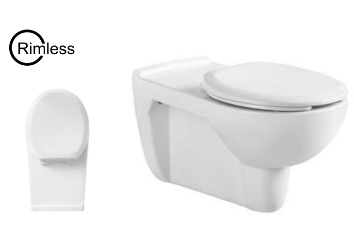 אסלת נכים תלויה VITRA אסלת נכים תלויה VITRA